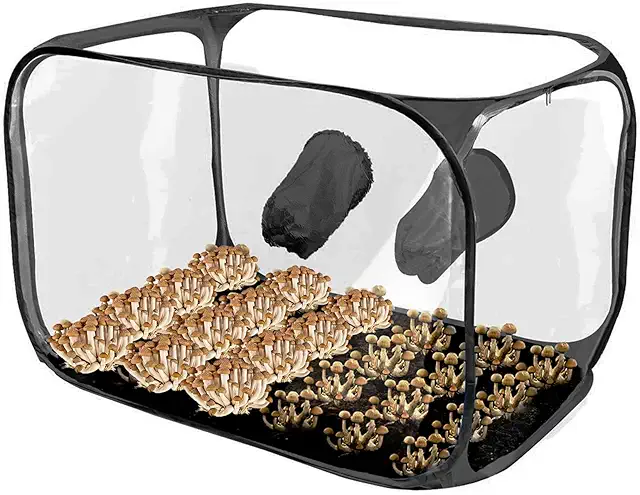 Mushroom Growing Tent - Portable Still Air Box for Cultivation & Experiments