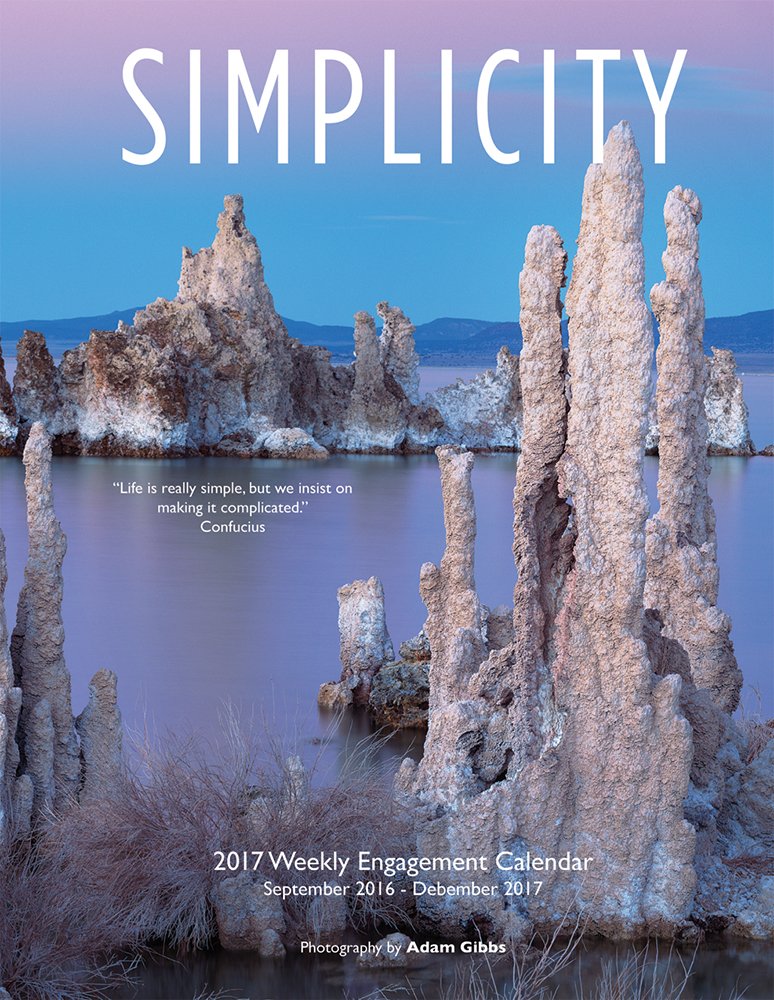 Simplicity 2017 6inch x 7.75inch Engagement Planner Calendar by