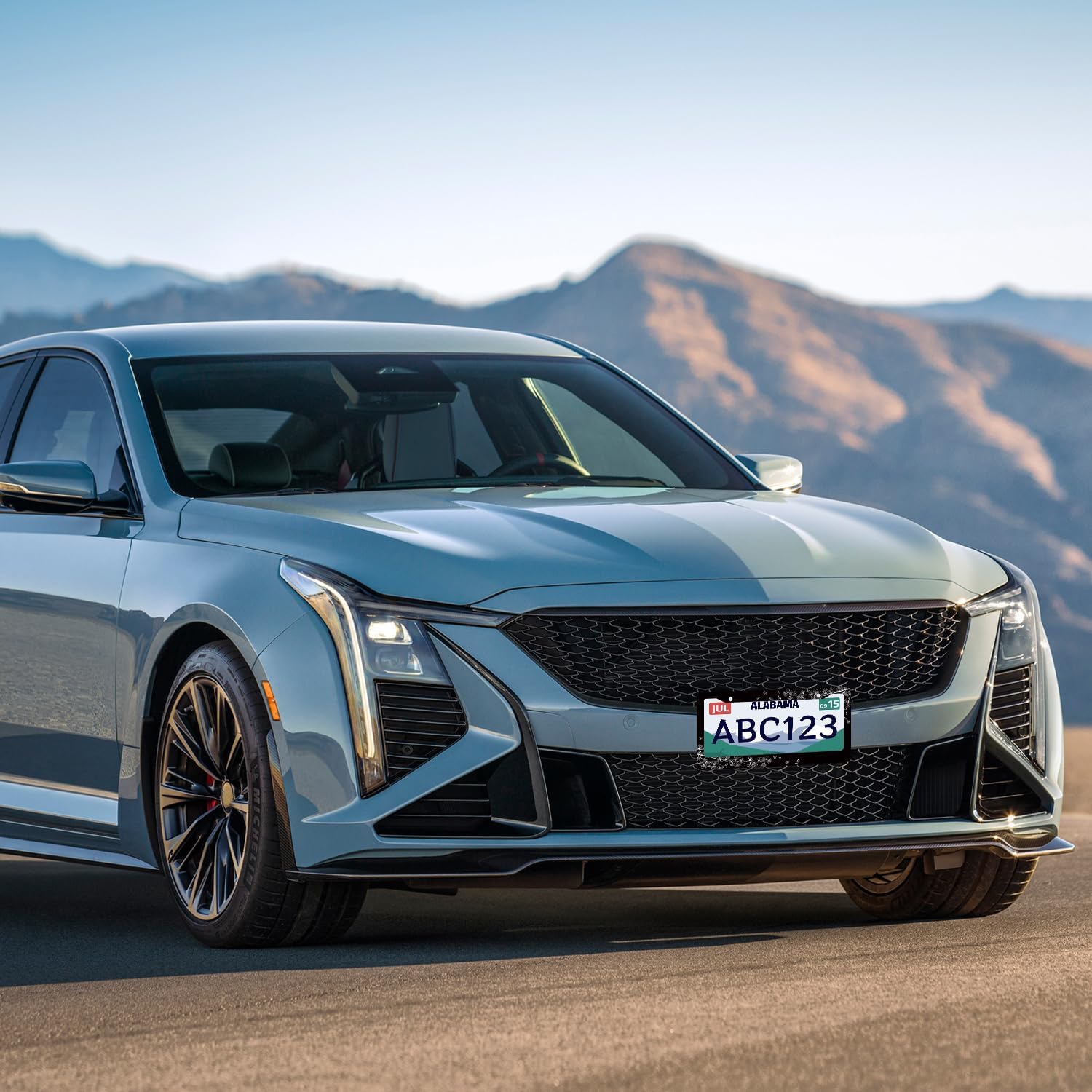 2Pack Black White Cherry Blossom License Plate Frame Personalized Butterfly Flower License Plate Holder for Front or Rear Car Tags Stainless Steel Car Decoration with Screws 6.2 X 12.2 inch