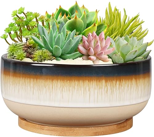 Maceta grande de cerámica para suculentas de 8 pulgadas con orificio de drenaje y platillo, maceta poco profunda marrón para plantas de interior