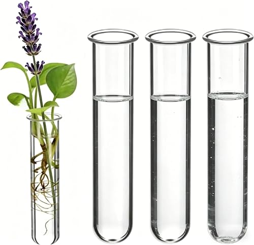 Plant Propagation Tubes, 4pcs Clear Glass Test Tube Vase, Round Bottom Test Tube for Hydroponic Plants, Flowers, Home Office Wall Decor