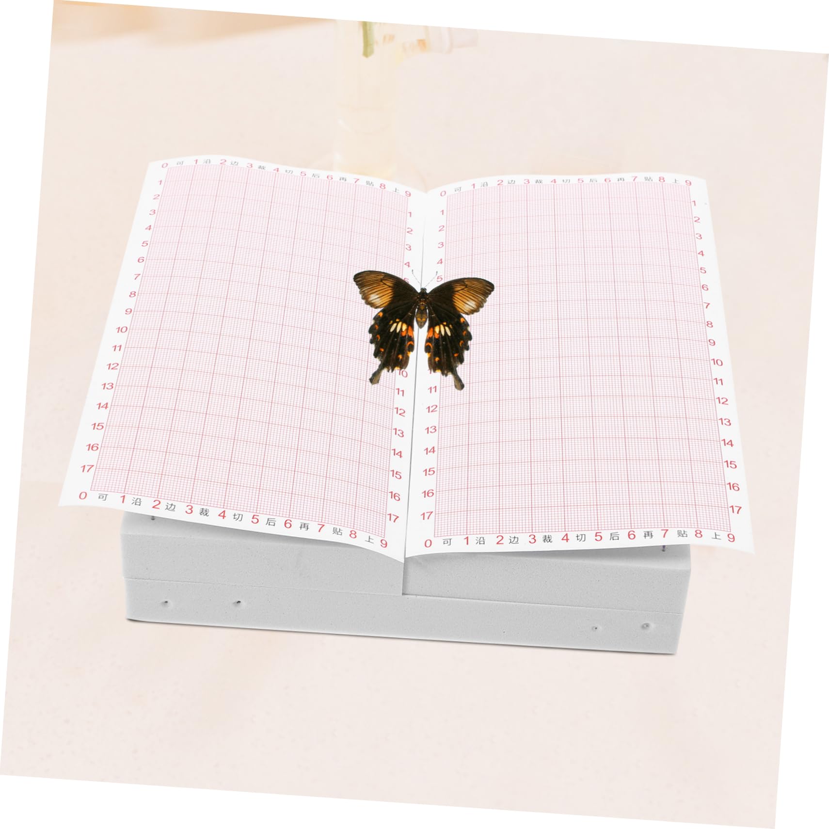 UPKOCH Butterfly Wings DIY Specimen Board Specimen Pose Plate Insect Pinning Board for Specimen Butterfly Wing Display Specimen Board for Desk Insect Specimen Pinning Plate