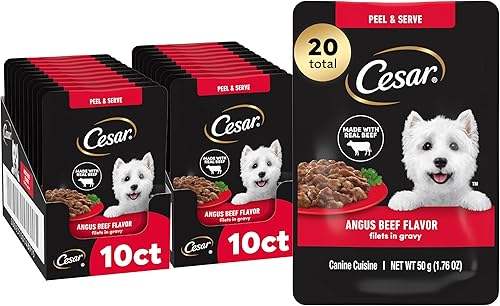 Cesar Filets in Gravy - Alimento húmedo para perros, sabor a carne Angus, 1.76 onzas, mini-bolsa, 20 unidades