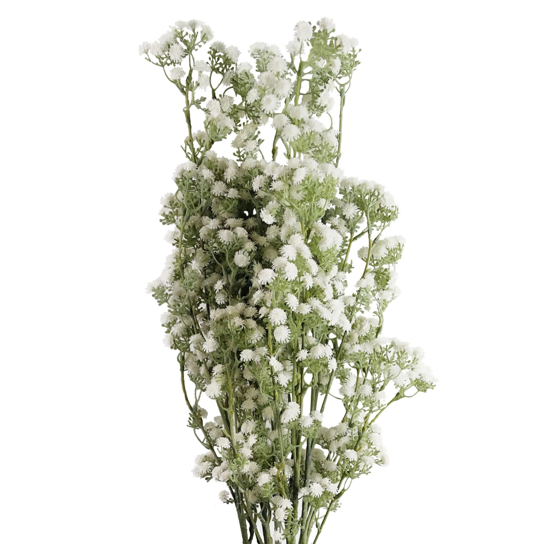 B&Q -  Pack Of 6 X 85Cm Gypsophila White Stem