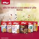 Kellogg's Millet Muesli with 84% Fruit, Seed & Multigrain| Power Breakfast | No Maida No Palm Oil | India's No 1 Muesli | 500g gallery image