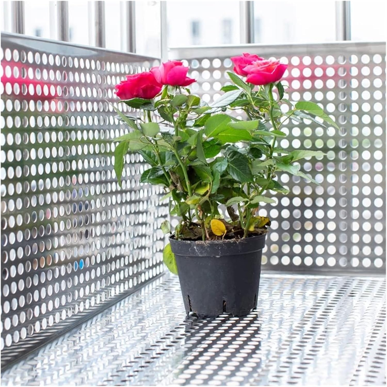 Stainless Steel Perforated Plate,Easy Install Perforated Steel Plate for Balcony Protection | Decorative Metal Window Screen Grilles with Ties & Gloves | Durable & Stylish Home Security Solu