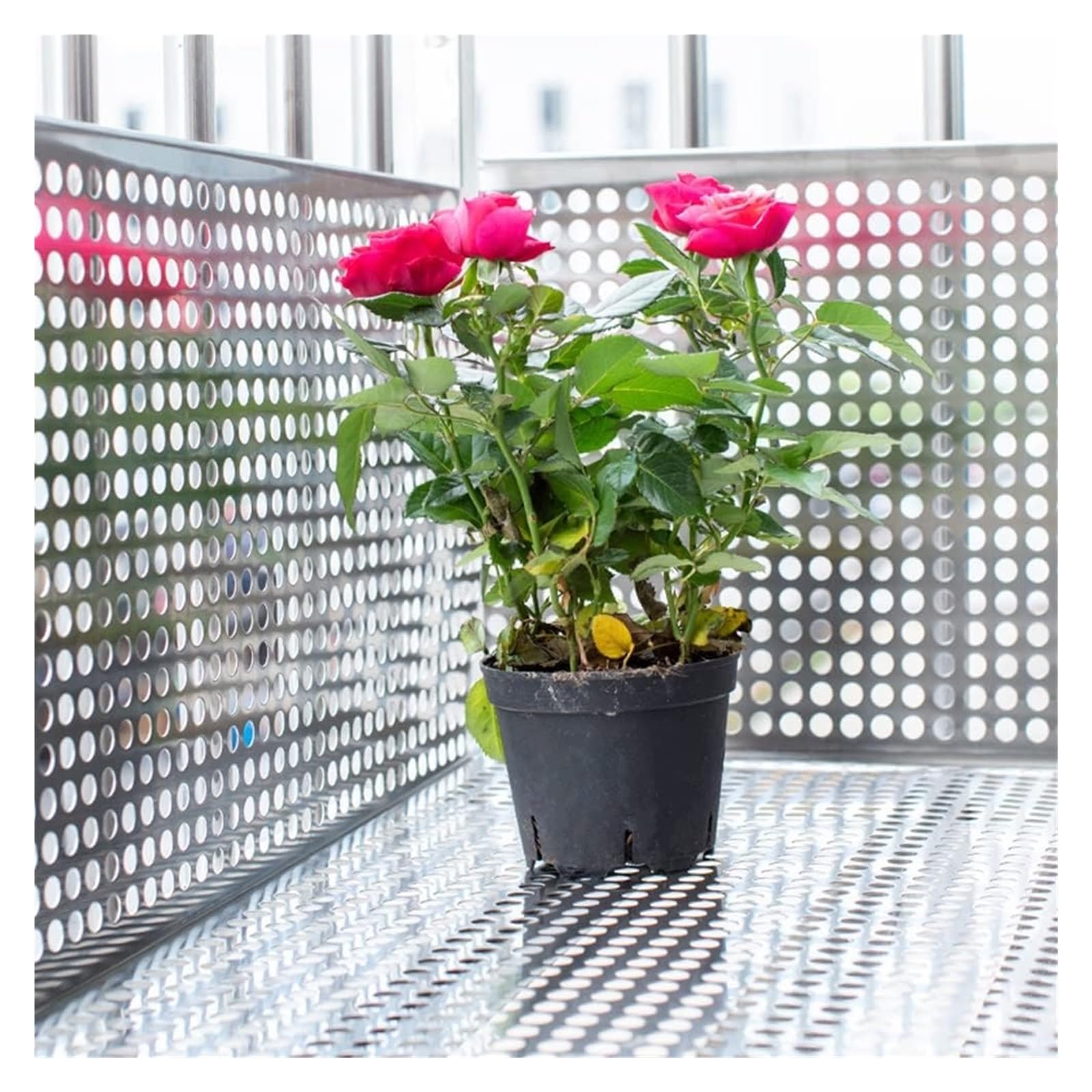 Tôles perforées, Tôle perforée Plaque perforée en acier inoxydable en acier inoxydable, tôle perforée en métal de protection de balcon facile à installer(1mm 0.5x1m)