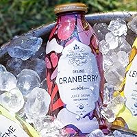 Vista 3 de Harney & Sons Jugo, arándano orgánico, 16 onzas (paquete de 12)