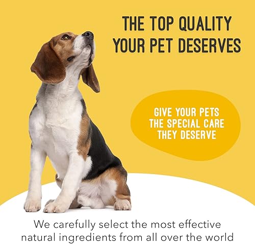 Miniatura 6 de Suplemento para perros para inflamación articular y artritis, cuidado natural de las articulaciones del perro, fórmula antioxidante con MSM,