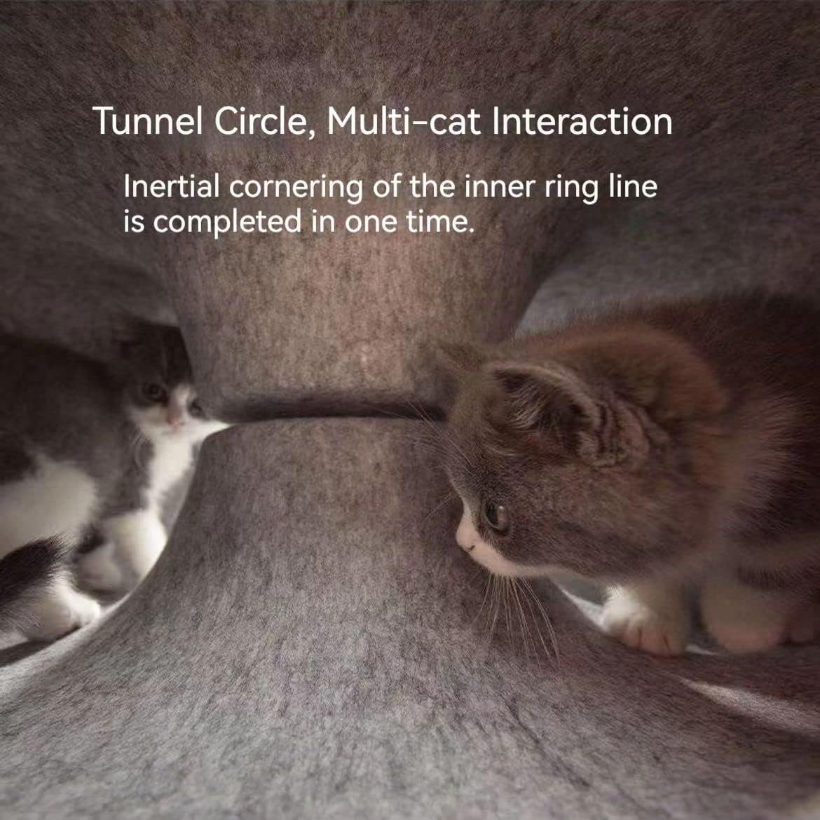 سرير نفق دائري كبير للقطط من بلورفوكس، كهف للقطط في الاماكن المغلقة، بيت للقطط شبه مغلق، مريح وقابل للغسل، سرير للحيوانات الاليفة قابل للفصل للقطط والقطط الصغيرة (رمادي داكن، مقاس S)