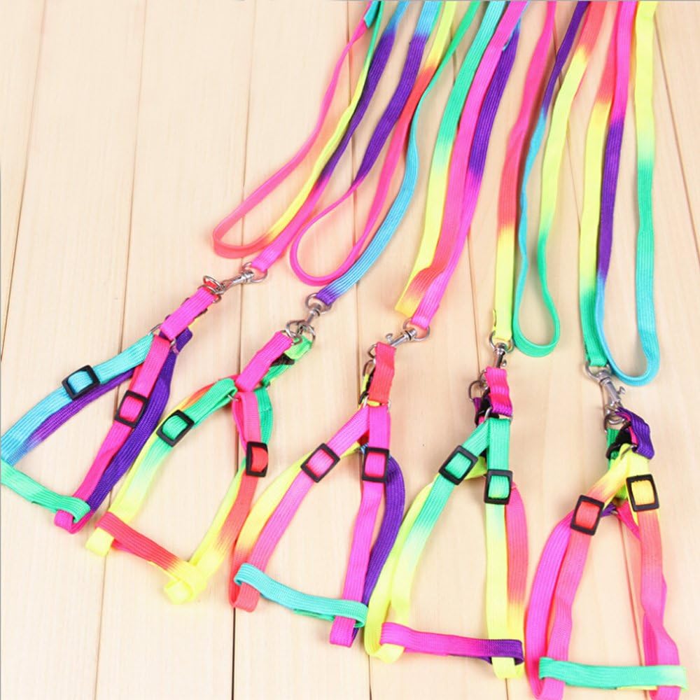 Adjustable Colorful Nylon Small Dog Puppy Pet Harness and Walking Leash Colorful