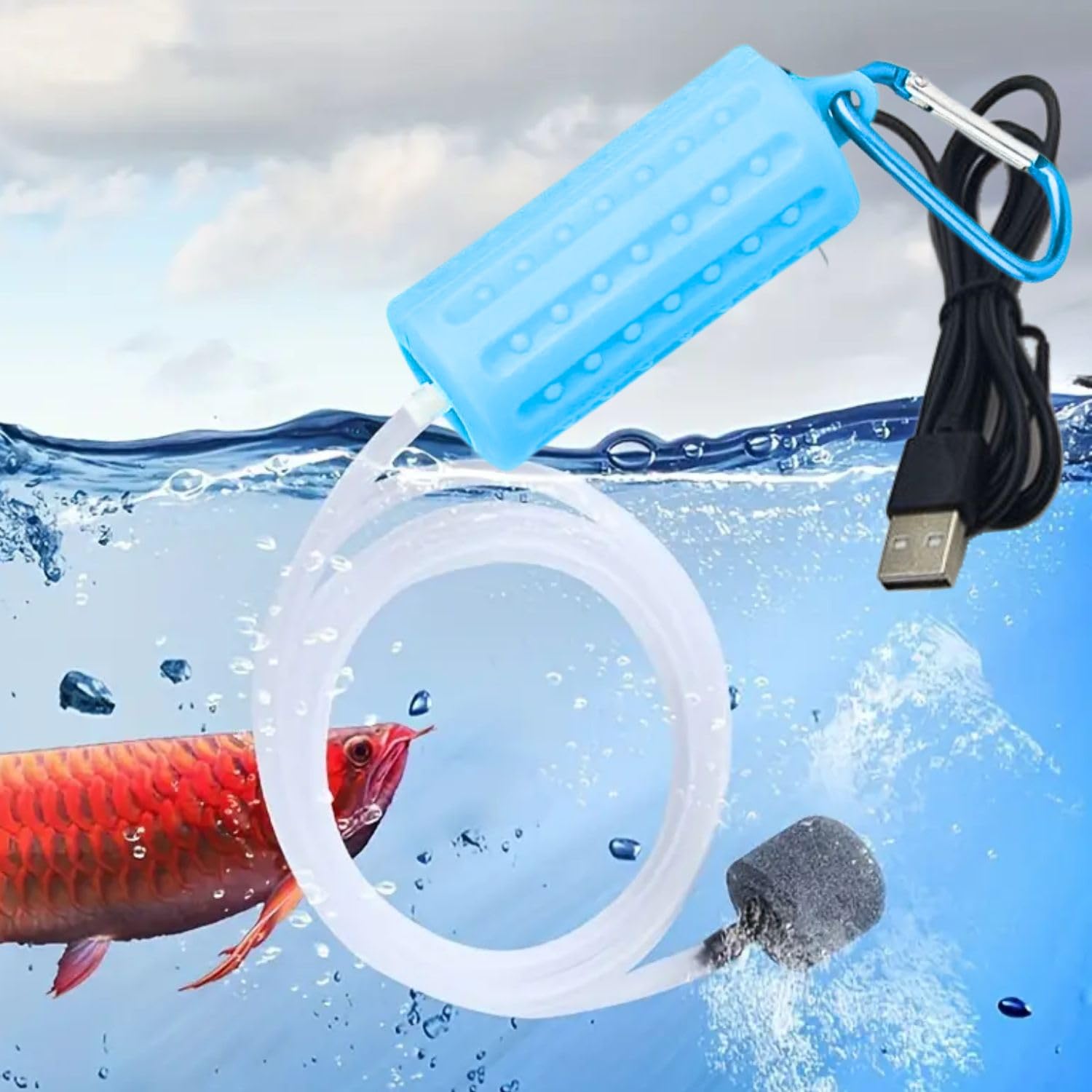 VAYINATO® Mini USB Powered Compact Portable Silent Airpump with Airtube and  Airstone for Aquarium Fish Tank, Outdoor Fishing (Multi Colour) by