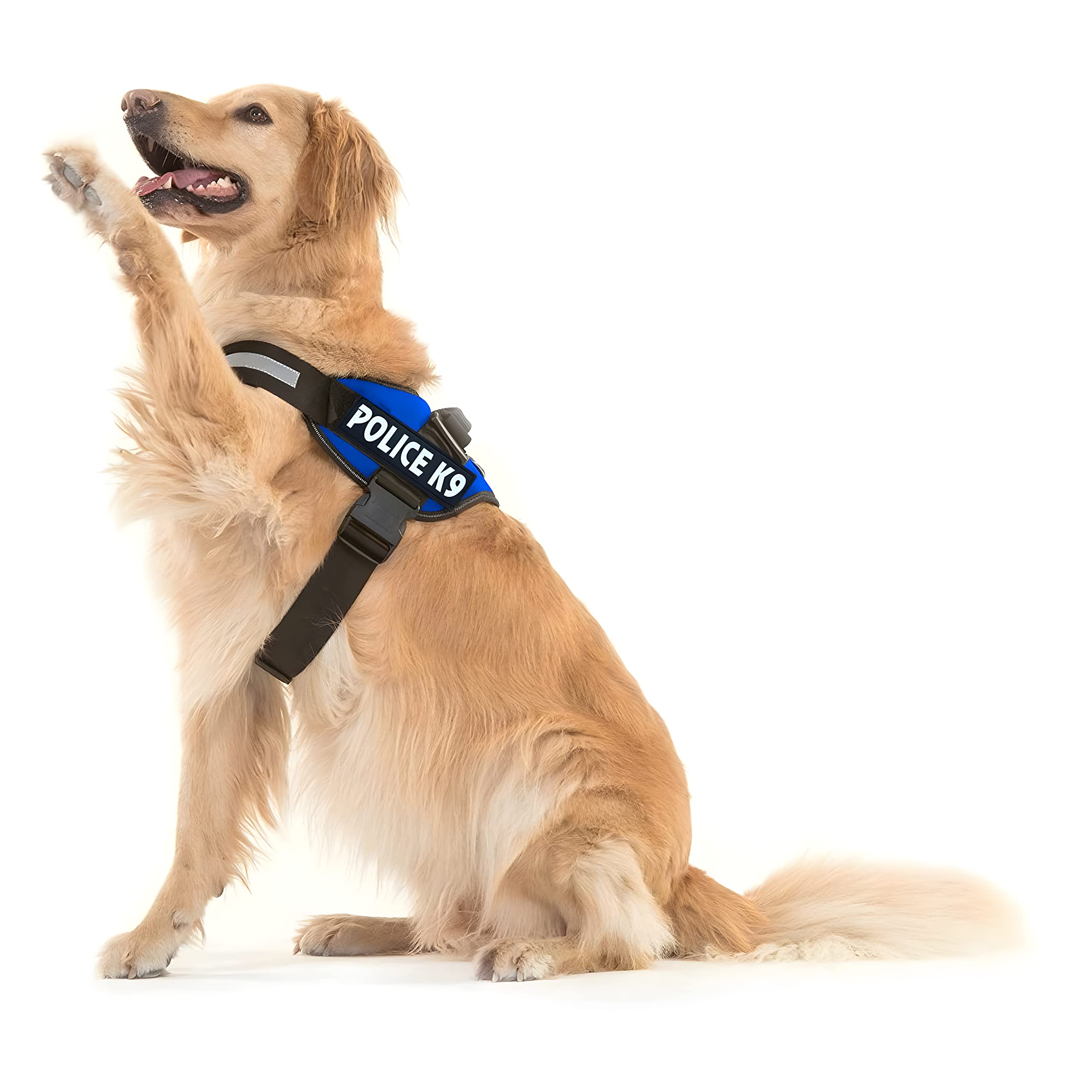 Tails Of Joy Dog K9 Police Harness with Hook and Loop Straps and Handle and Adjustble Size - Medium Color - May Very (B0BV7355SD) Amazon Price History, Amazon Price Tracker