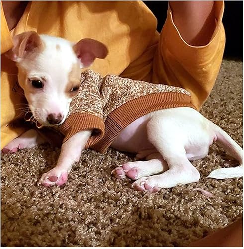 Miniatura 3 de Suéter de punto clásico para perros y mascotas, abrigo cálido de invierno para cachorros, ropa de suéter suave para perros pequeños (M, caqui)