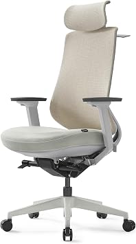 EUREKA ERGONOMIC Lira Office Chair with Headrest, Ergonomic Desk Chair with 3D Armrests, Adjustable Seat Depth, Breathable Mesh Computer Chair with Lumbar Support for Home OfficeGrey