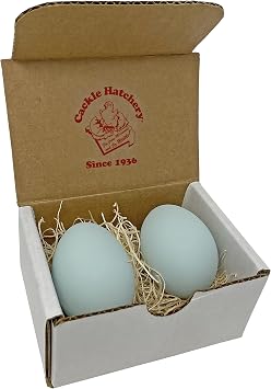 Ceramic Nest Eggs 2ct Blue