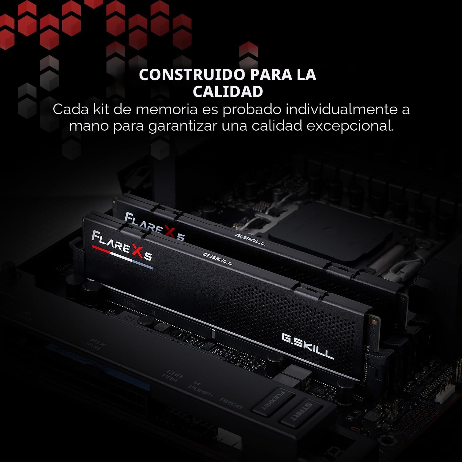 Amazon.com: G.SKILL Flare X5 Series (AMD Expo) DDR5 RAM 64 GB (2 x