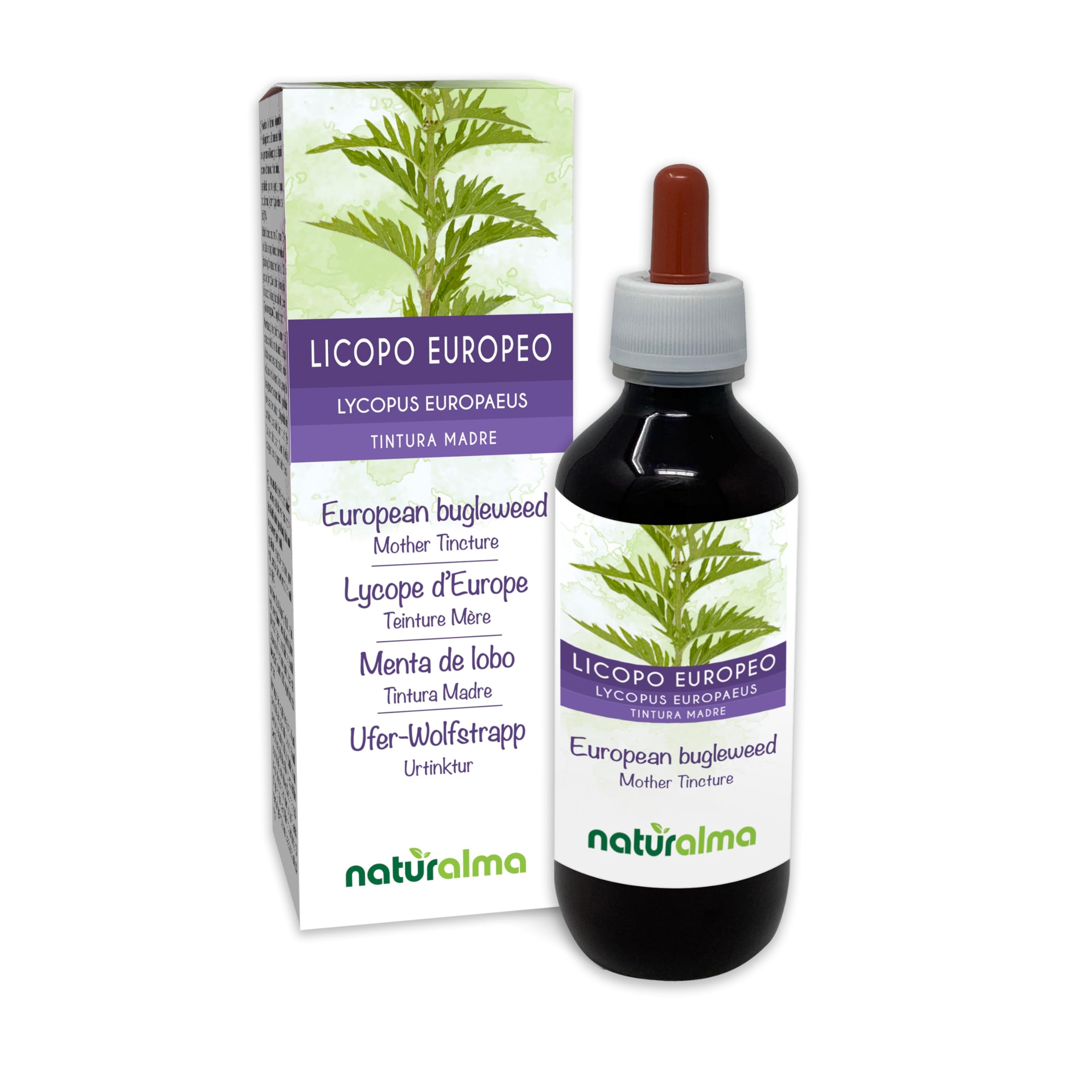 Ufer-Wolfstrapp oder Gemeiner Wolfstrapp (Lycopus europaeus) Kraut Alkoholfreier Urtinktur Naturalma - Flüssig-Extrakt Tropfen 200 ml - Nahrungsergänzungsmittel - Veganer