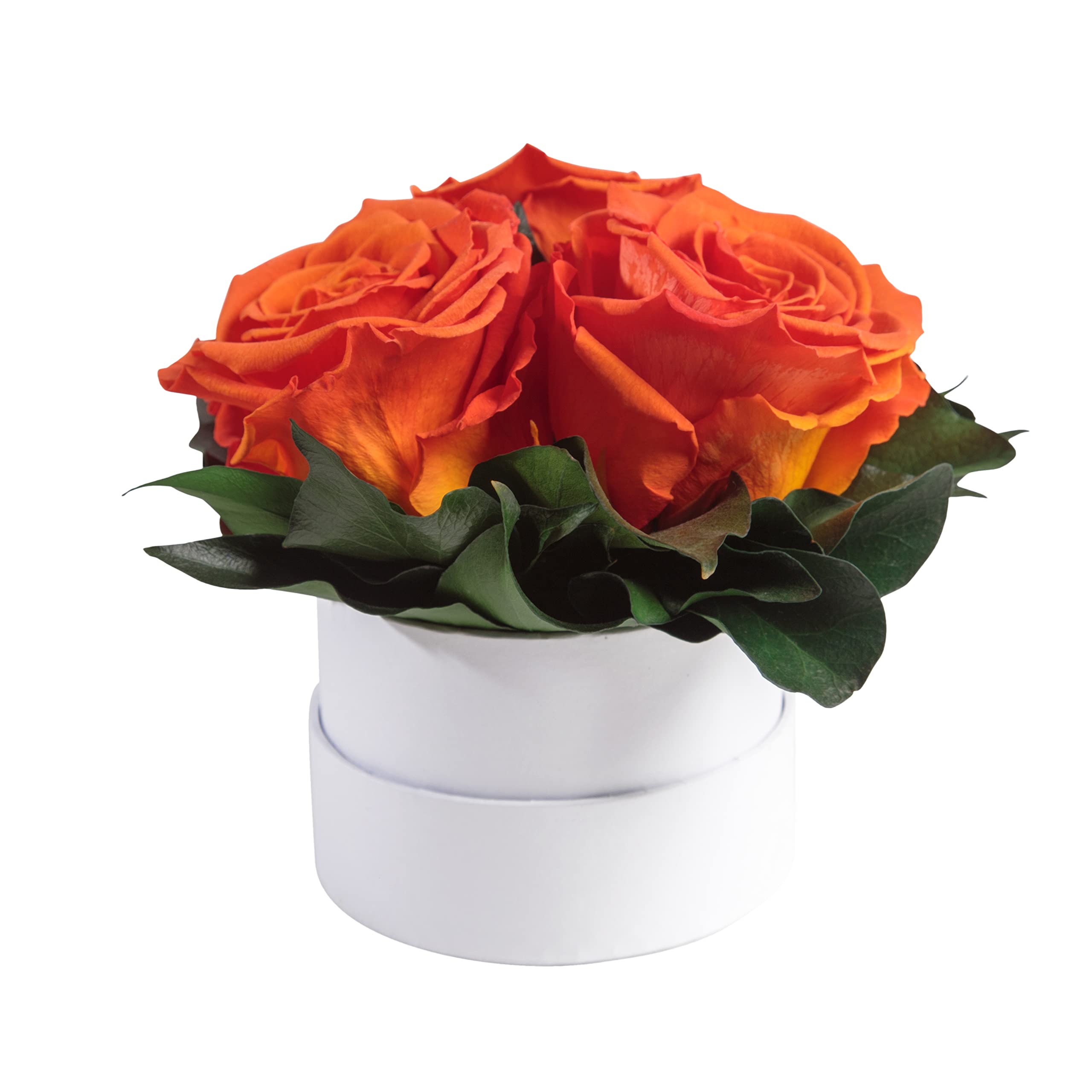 Infinity Rosenbox weiß rund konservierte Blumen Orange - 3 Infinity Rosen Durchmesser 15 cm - Lieblingsmensch Geschenk (Orange, Medium)