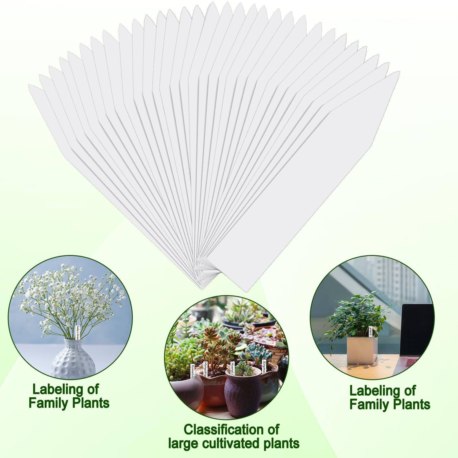 200 Cartelli Per Piante In Plastica PVC, 10x2 Cm, Bianchi – Etichette Resistente Alle Intemperie Per Giardino E Orto - 4