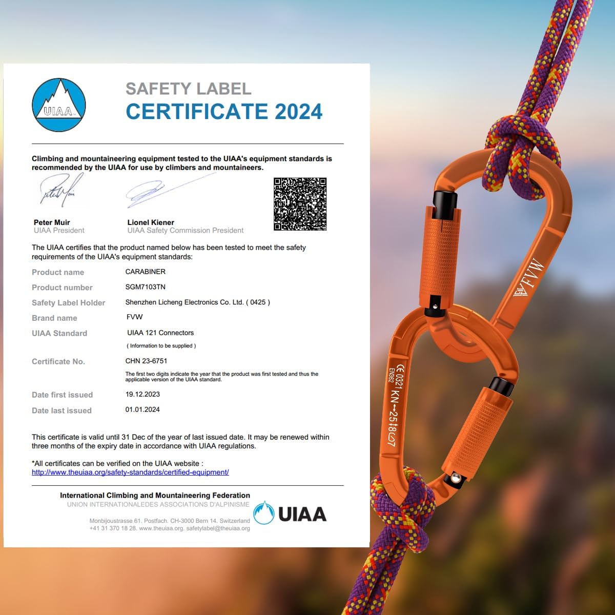 25KN Karabiner Klettern Kletterausrüstung,Locking Kletterkarabiner Clips für Hängematten, Schaukel, Locking Hundeleine und Geschirr, Camping, Wandern & Utility