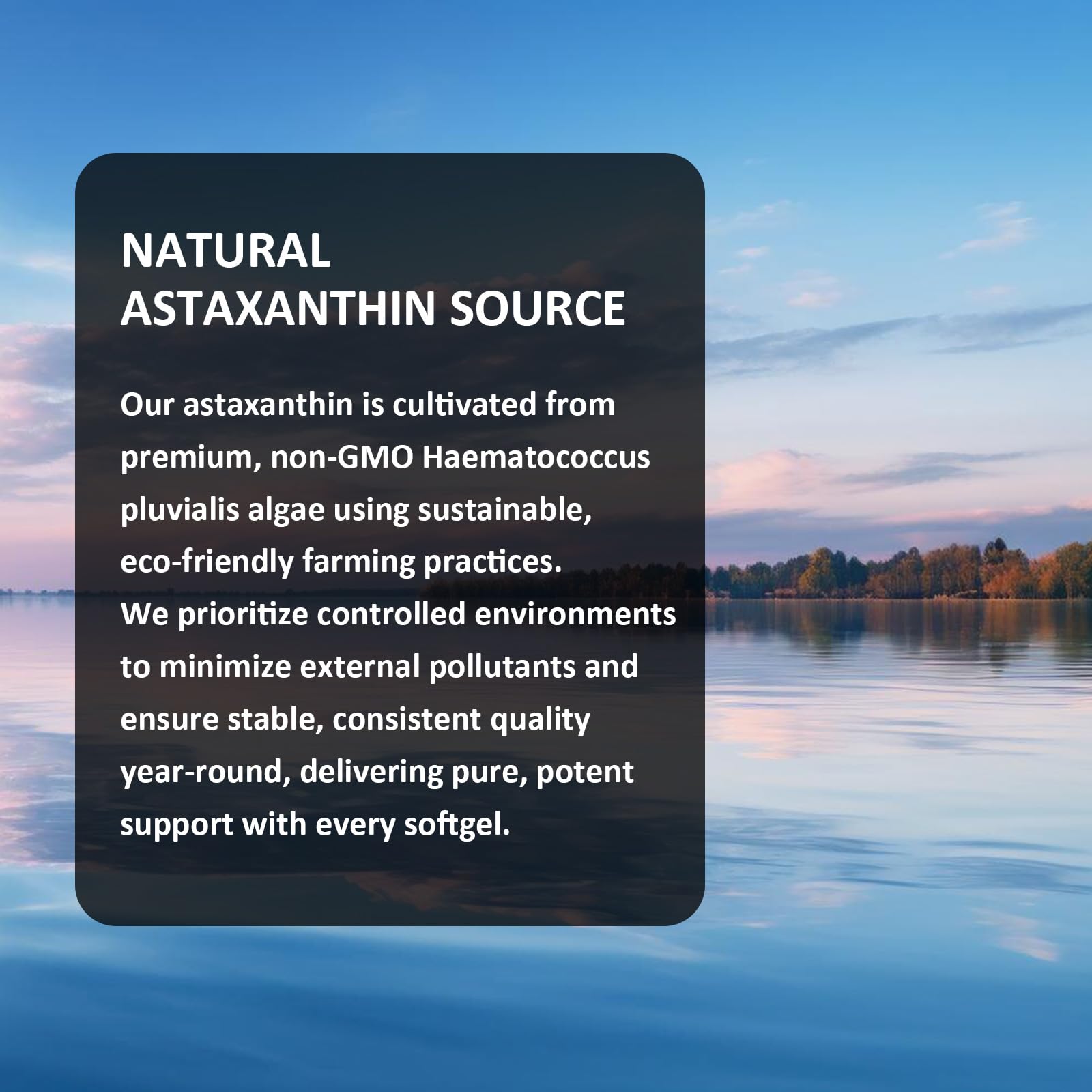 Astaxanthin 12mg with MCT Oil, 60 Softgels (2-Month Supply) – Triple Strength Antioxidant Supplement from Haematococcus Pluvialis – Non-GMO, Gluten-Free, Vegan — Amazon image 6