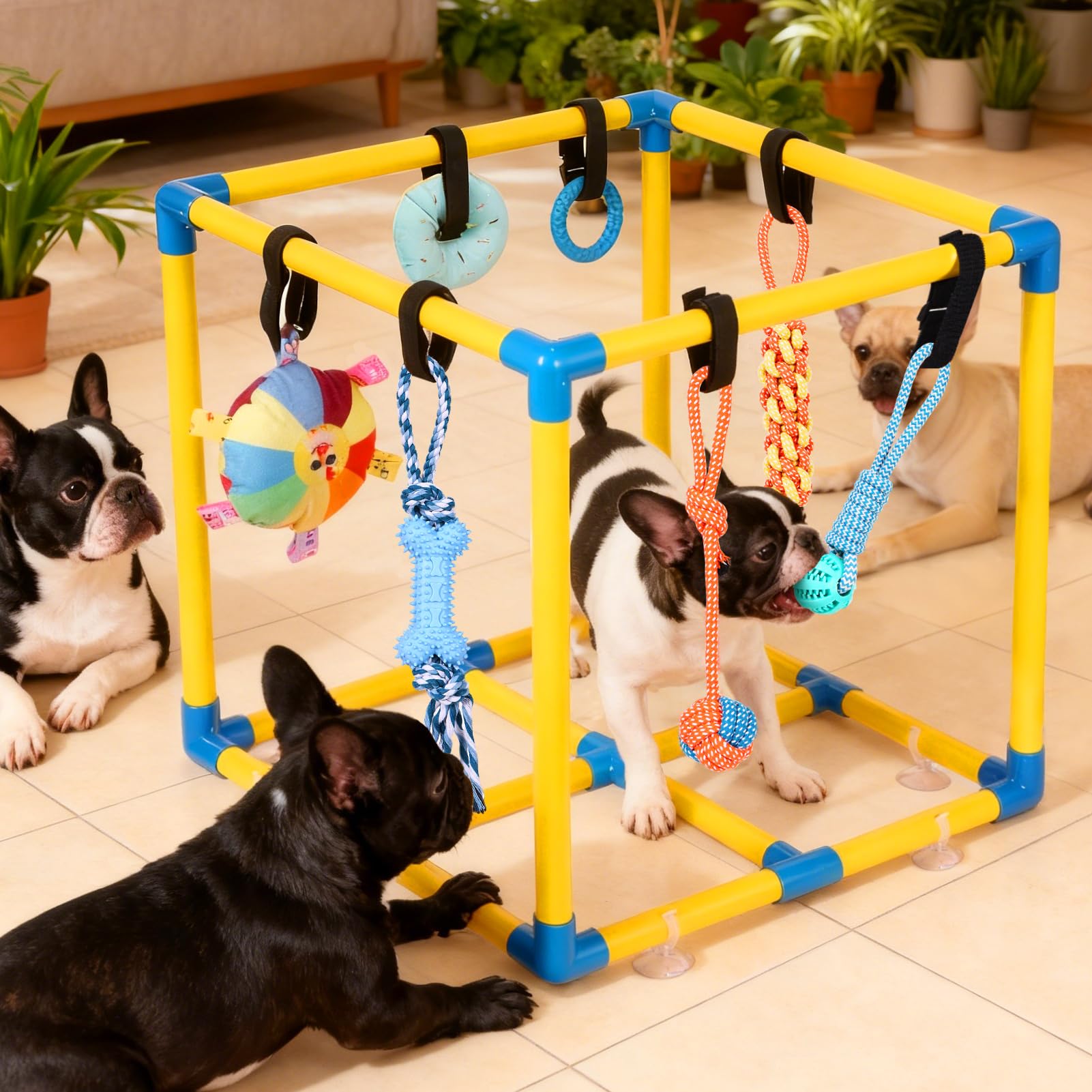 WLLEYAY Welpenspielstudio für kleine Hunde mit 10 hängenden Spielzeugen, abnehmbarer Indoor-Dschungel-Fitnessstudio, PVC-Rahmen mit verstellbaren Bungee-Gurten, interaktives Hundespielzeug