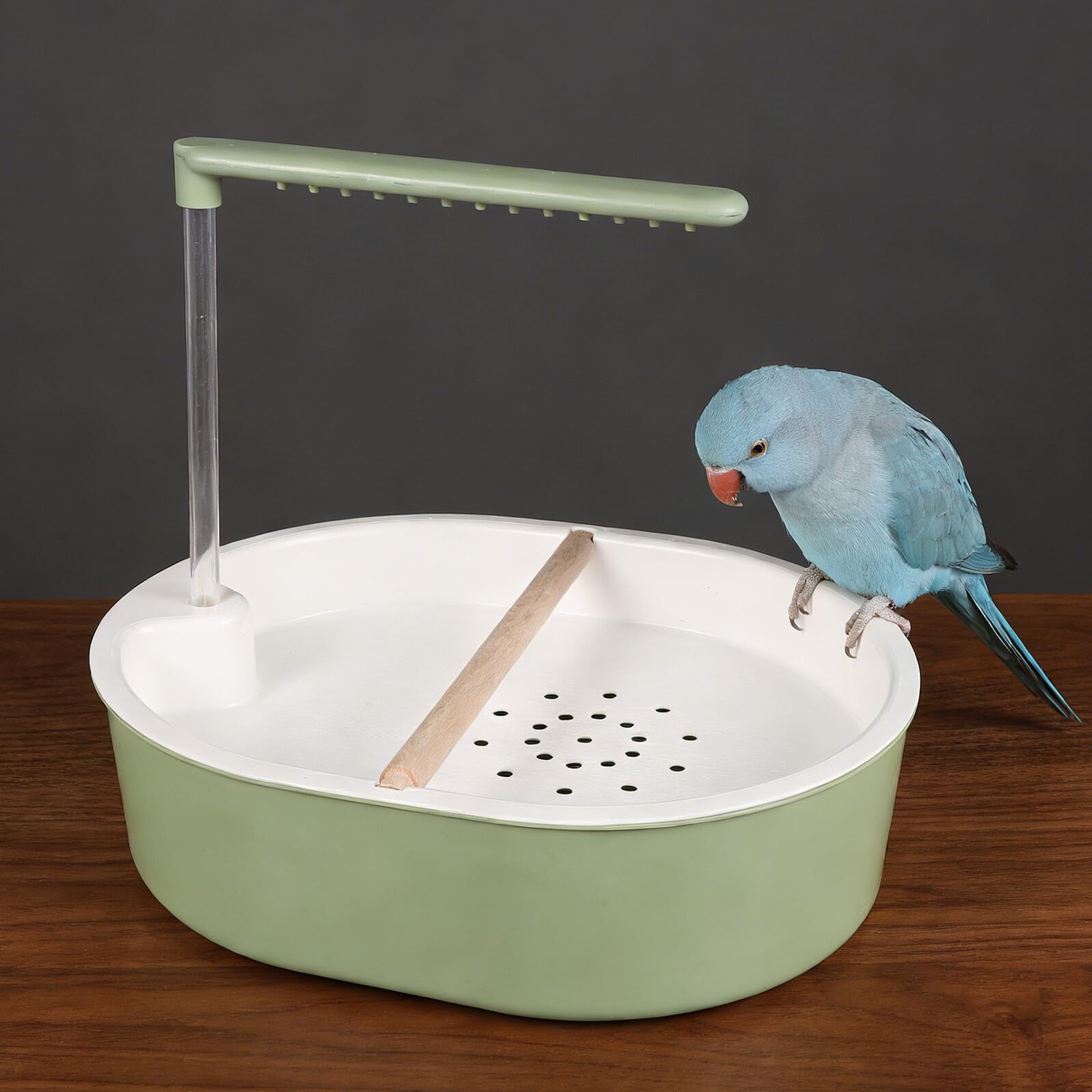 Bañera Automática para Pájaros con Bomba de Circulación y Ducha Tipo Lluvia, Cuenco Verde Azulado para Jaula, Tubo Transparente 20 Cm y Perchero de Madera de Haya, Baño Interior