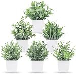 Der Rose 2 Emballages Petites Plantes Faux Mini Plantes artificielles en pot pour Bureau de table Maison Salle de bain Bureau Décor Intérieur