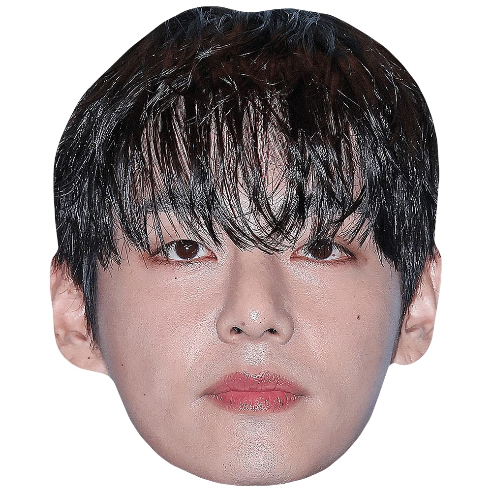 V (Fringe) Celebrity Mask, Flat Card Face, Fancy Dress Mask