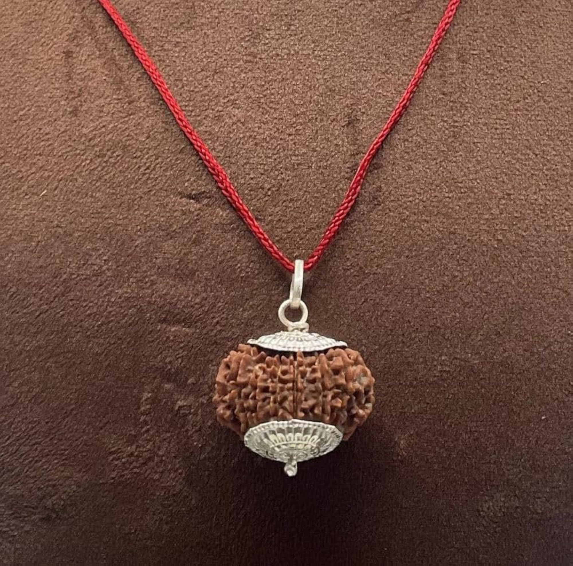Seventeen Face Rudraksha Bead, Original Certified