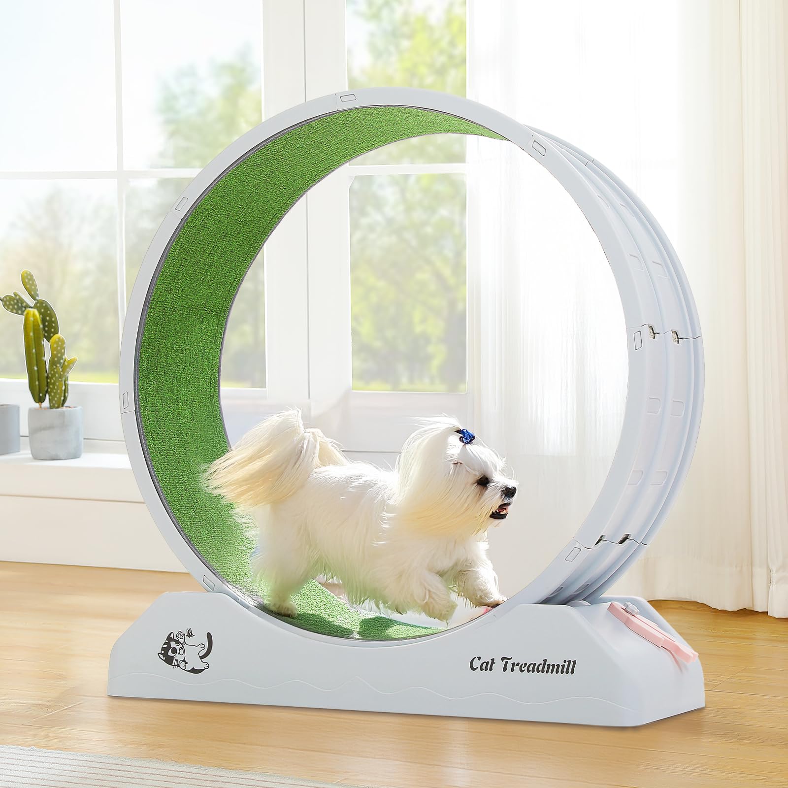 Amazon.co.jp: PAWZ Road キャットホイール 猫 小型犬 大型 静音