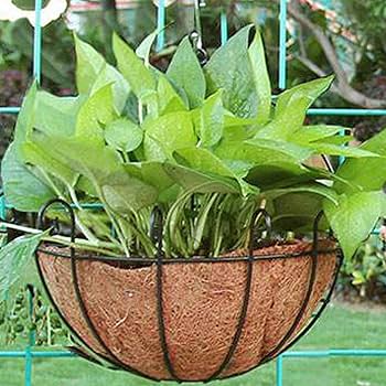 Limei 2PCS 12 Inch Half Round Coco Liner For Hanging & Wall Flower Basket 12 Inch Circle Planter Coconut Fiber Plant Garden Pot 10 Inch