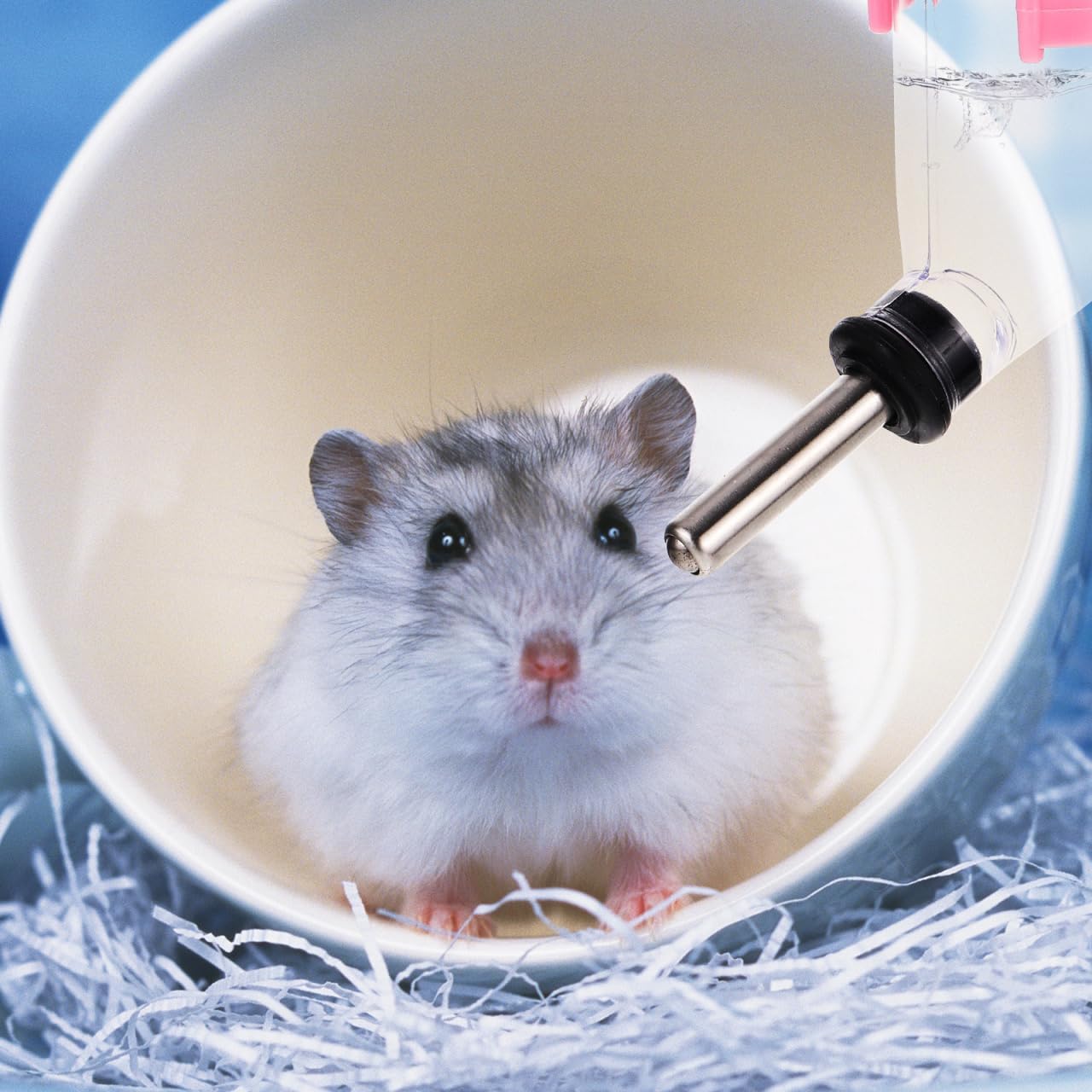 4-Pack Small Pet Water Bottles 60Ml Hanging Leakproof Hamster Water Feeder with Nozzle for Guinea Pigs Rabbits and Squirrels