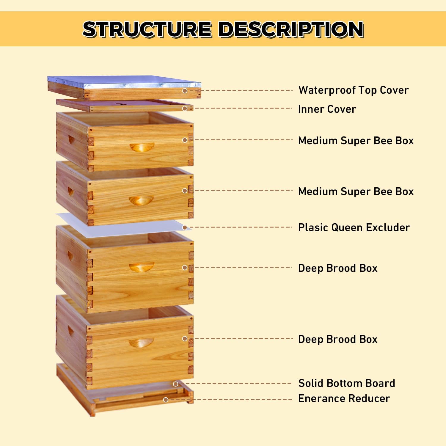 POLLIBEE 10 Frame Bee Hive, Beehive Kit Includes 2 Deep Brood Bee Boxes, 2 Medium Beehive Boxes,Comes with Assembly Screws (No Frames or Foundations)