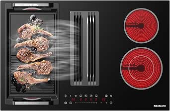 GASLAND Electric Cooktop with Downdraft 31.5 Inch(80cm), 4 Burners Glass Radiant Stovetop 220V, 3-speed Max. 330 CFM Downdraft Exhaust
