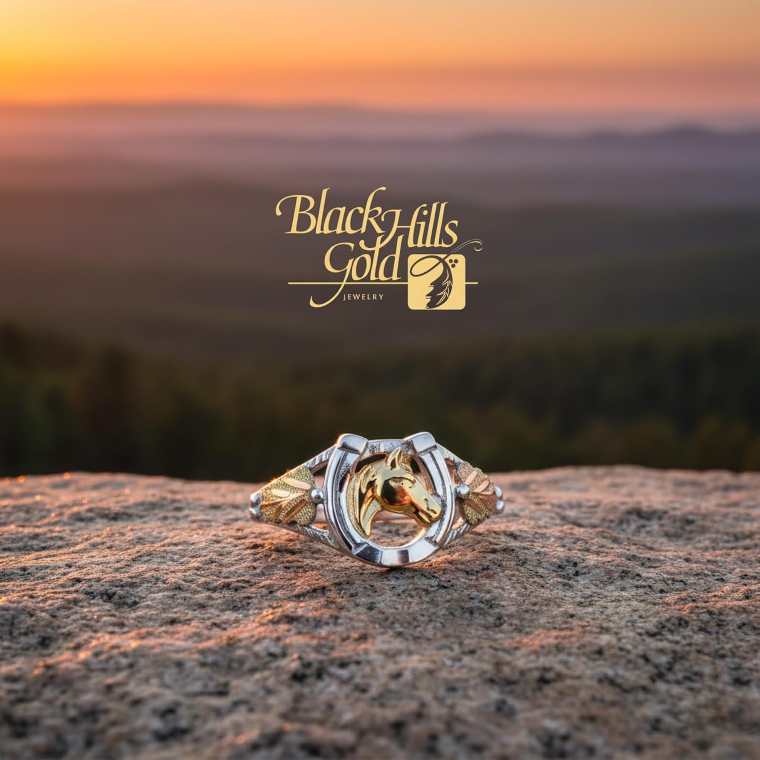 Horseshoe and Horse Ring, Sterling Silver, 12k Green and Rose Gold Black Hills Gold Motif