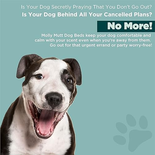 Miniatura 15 de Molly Mutt Forro de cama para perro resistente al agua, forro de cama de poliéster para perros, fácil de limpiar, gris, enorme, 36 x 45 x 4.75