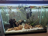 Review Image by Amazon Customer Amazon Customer