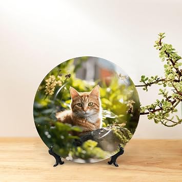 PHAYAH Cat in The Garden Pattern Bone China Decorative Plate 8in with Display Stand Dinner Plates for Home Study and Entryway Office Decor