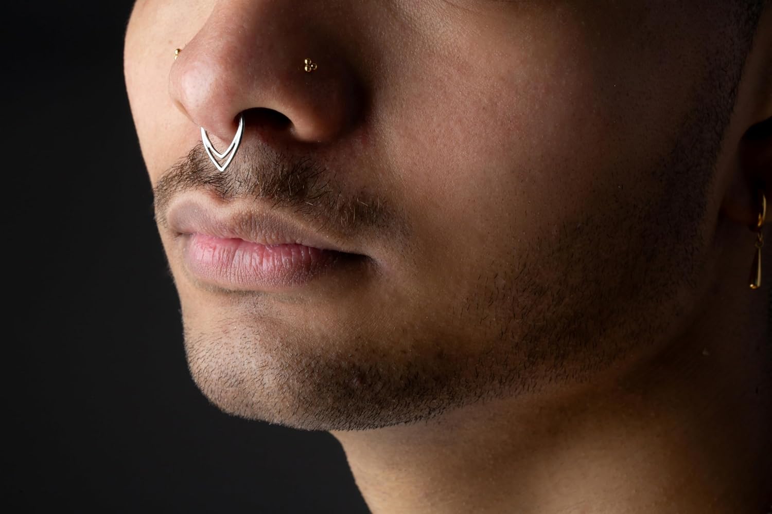 Pierced Owl 16GA ASTM F-136 Implant Grade Titanium Double Chevron Hinged Segment Clicker Ring - Image 4