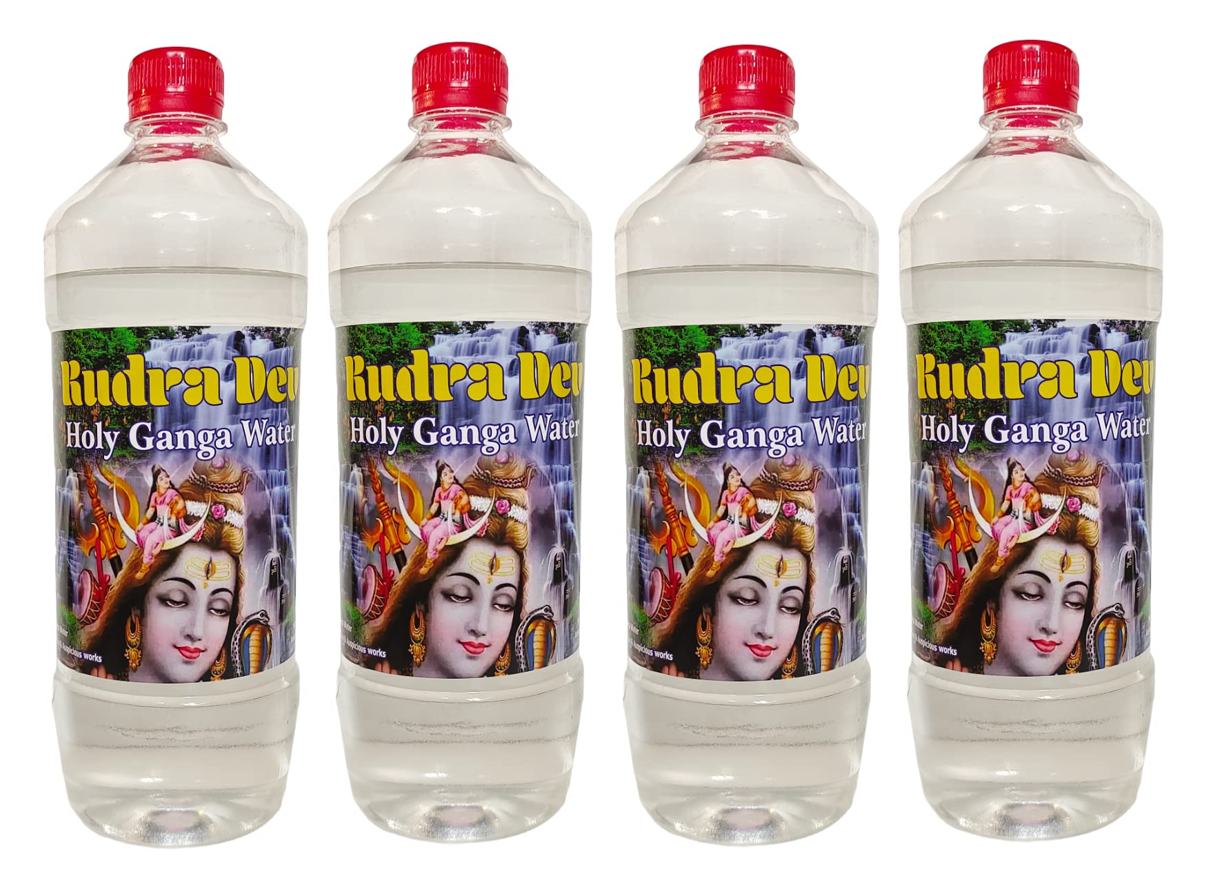 Rudra Dev Premium Gangawater 4 Litre (1 Litre X 4) of Kashi Prayajraj- Varanasi (Unfiltred) | Hand Collected | Ganga Water for Puja, Religious & Auspicious Purposes-image-49