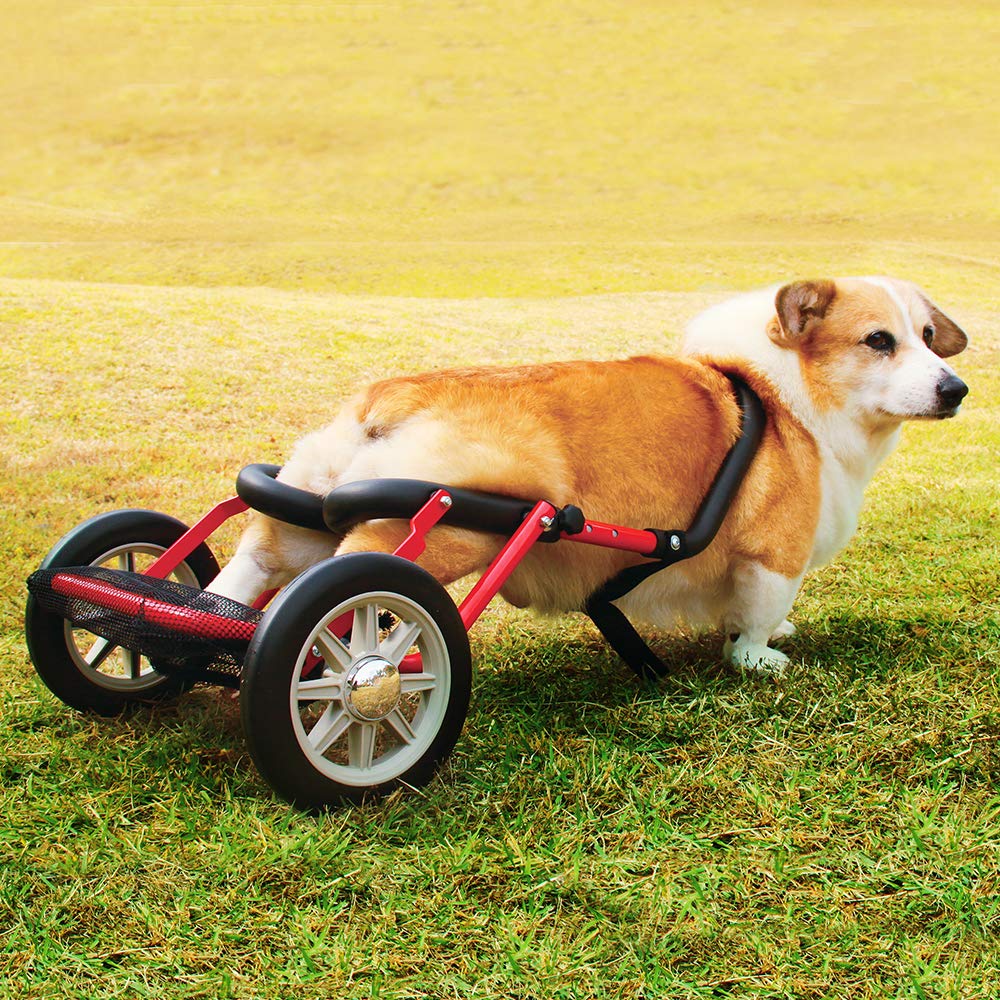 Pvc Pipe Dog Wheelchair