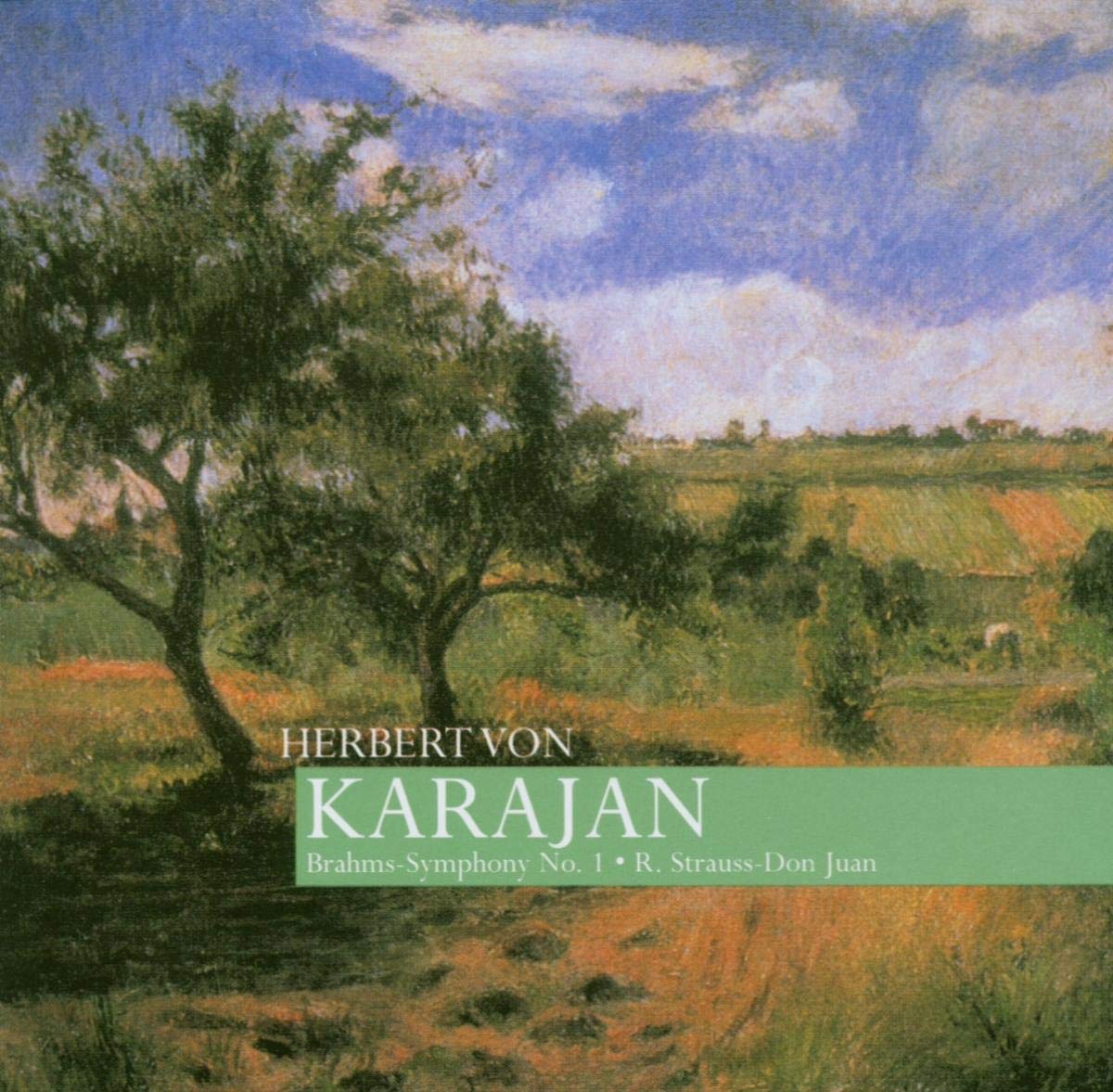 Strauss/Brahms: Symphony No.1, Etc.