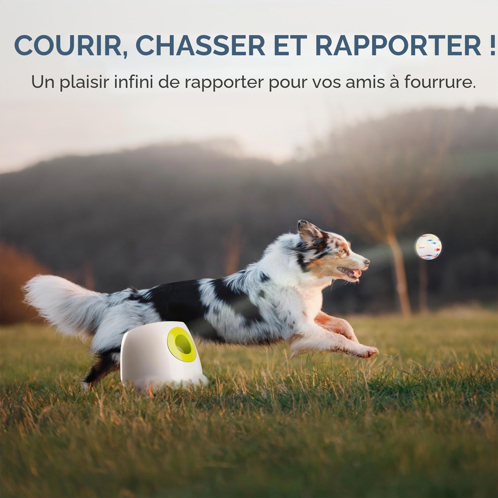 ALL FOR PAWS Lanceur automatique de balles pour chien, lanceur de balles interactif pour chiens de grande et grande taille, jouet interactif rechargeable avec 3 à 12 m, 6 pièces ETPU