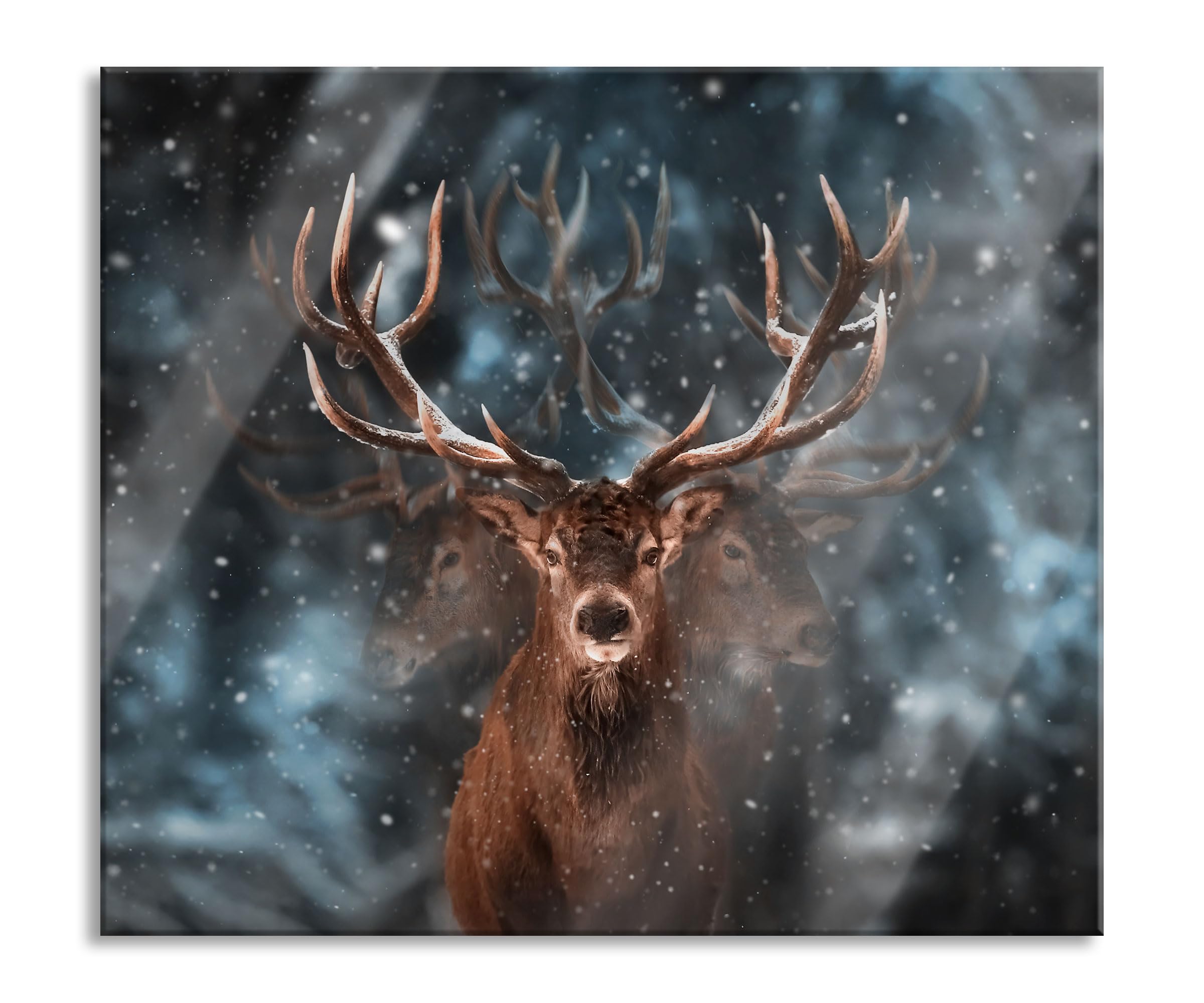 Machtvoller Hirsch im Winterwald Herdabdeckplatte & Spritzschutz aus Echtglas | Für Herd-Kochfelder | 60x52 cm