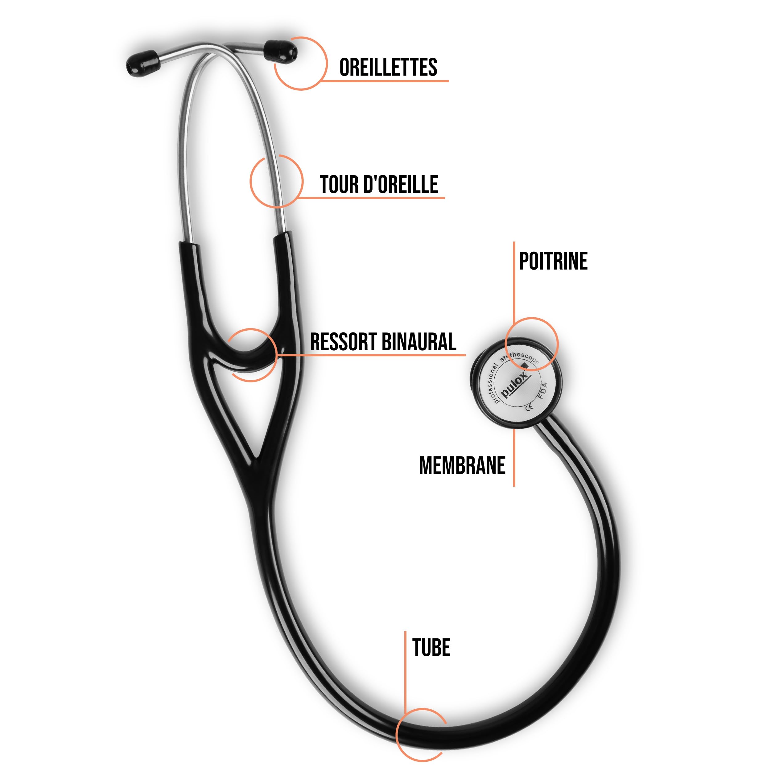 Stéthoscope de cardiologie Pulox - Stéthoscope professionnel monotube avec double pavillon en acier inoxydable