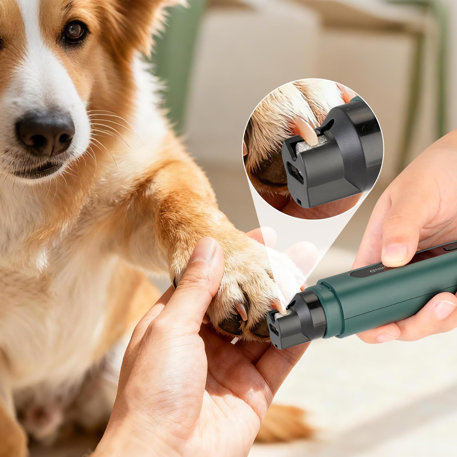 VINATO Cortaúñas Eléctrico para Perros y Gatos, Lima Úñas con Luz LED, 5 Velocidades, 3 Cabezales de Diamante y 3 Puertos, Recargable e Inalámbrico para Todas Las Razas