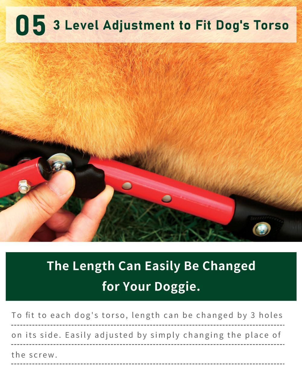 https://m.media-amazon.com/images/I/71Fvhyg3hDL._AC_SL1250_.jpg