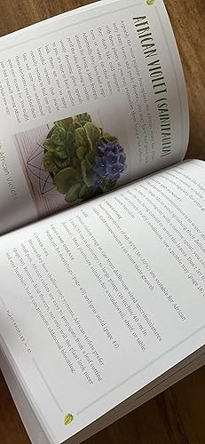 Review Image by Amazon Customer
